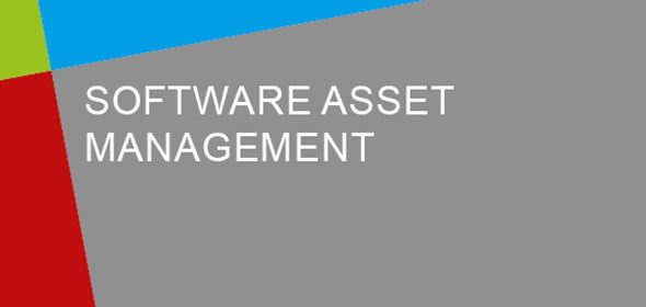 Webcast Header Software Asset Management
