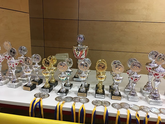 Die begehrten Pokale des Tischtennis-Firmencup